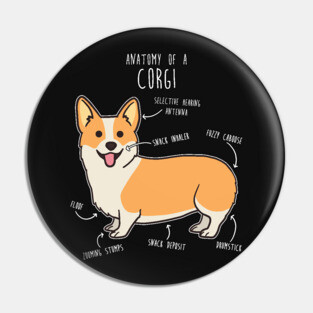 Corgi Anatomy Pin
