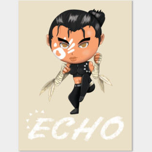 Echo Posters and Art
