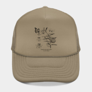 Botanical Milkweed Hat