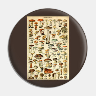 Champignons Mushrooms Vintage Botanical Illustration Pin