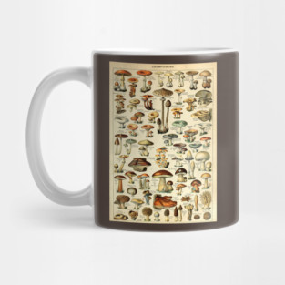Champignons Mushrooms Vintage Botanical Illustration Mug
