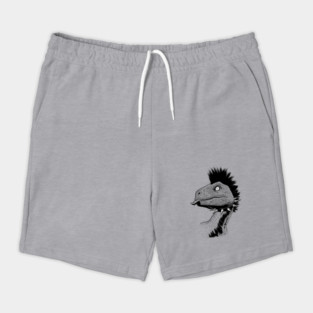 Crested punk velociraptor Shorts