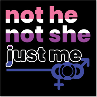 Gender Fluidity Not He Not She Just Me Non-Binary Pride Posters and Art