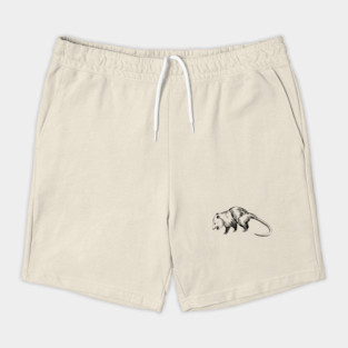 opossum Shorts