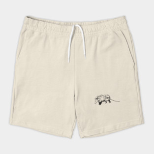 opossum Shorts