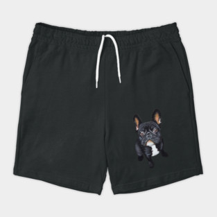Dog French Bulldog Shorts
