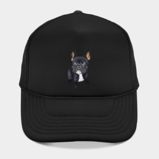 Dog French Bulldog Hat