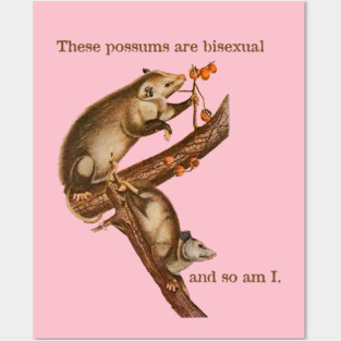These Possums Are Bisexual and So Am I Posters and Art