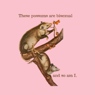 These Possums Are Bisexual and So Am I T-Shirt