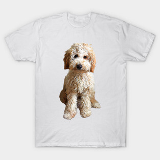 Labradoodle Puppy Dog T-Shirt