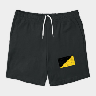 Distressed AnCap Anarcho Capitalist Flag Shorts