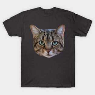 Tabby Cat Lover Brown Tabby Cat Owner Tabby Cat Mom T-Shirt