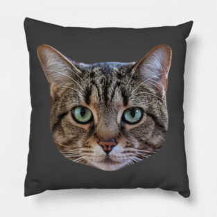 Tabby Cat Lover Brown Tabby Cat Owner Tabby Cat Mom Pillow