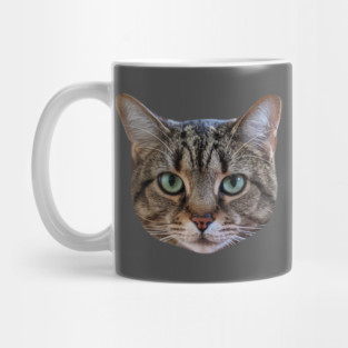 Tabby Cat Lover Brown Tabby Cat Owner Tabby Cat Mom Mug