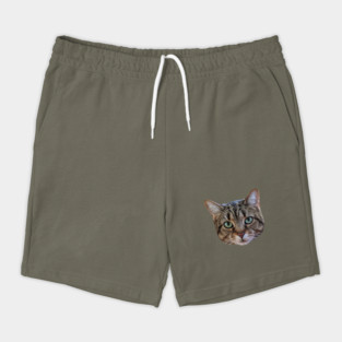 Tabby Cat Lover Brown Tabby Cat Owner Tabby Cat Mom Shorts