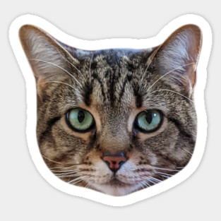 Tabby Cat Lover Brown Tabby Cat Owner Tabby Cat Mom Sticker