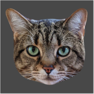 Tabby Cat Lover Brown Tabby Cat Owner Tabby Cat Mom Posters and Art