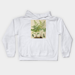 Maidenhair Ferns Kids Hoodie