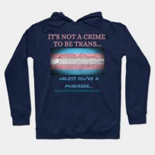 Not a crime to be trans Hoodie