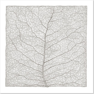 Square leaf Posters and Art