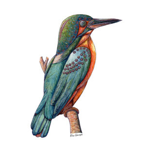 Semi-mechanical Kingfisher T-Shirt