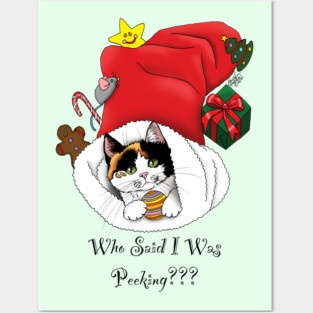 Christmas Stocking Kitten Posters and Art
