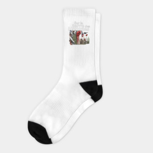 sltdh-histoire6 Socks