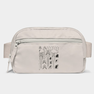 Scorpion | Insect Entomology Bugs Bag