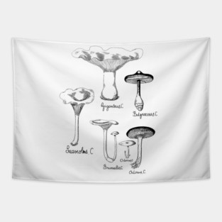 Wild Mushroom | For Fungi Foraging Fungiphiles Tapestry