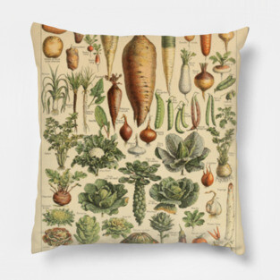 Vegetable Chart Pillow