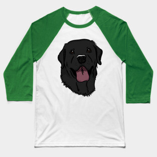 Black Lab Baseball T-Shirt