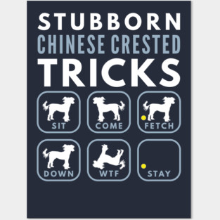 Stubborn Chinese Crested Tricks - Dog Training Posters and Art