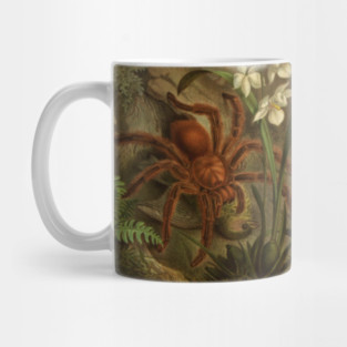 Vintage Tarantula Mug