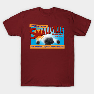 The Meteor Capital of the World T-Shirt