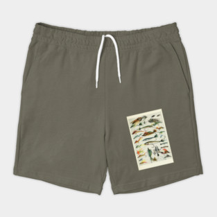 Fishing Lures Shorts