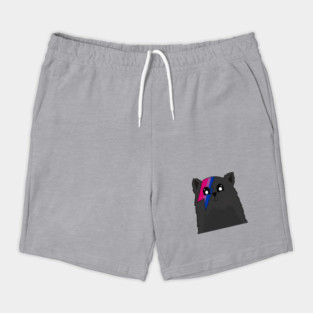 Bisexual Pride Flag Shorts