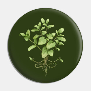 mint plant yoga Pin