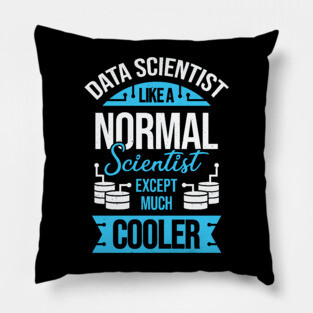 Funny Data Science Scientist Gift Pillow