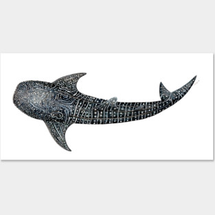 Whale shark Rhincodon typus for divers, animal lovers and fishermen Posters and Art