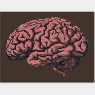 Brain Posters and Art