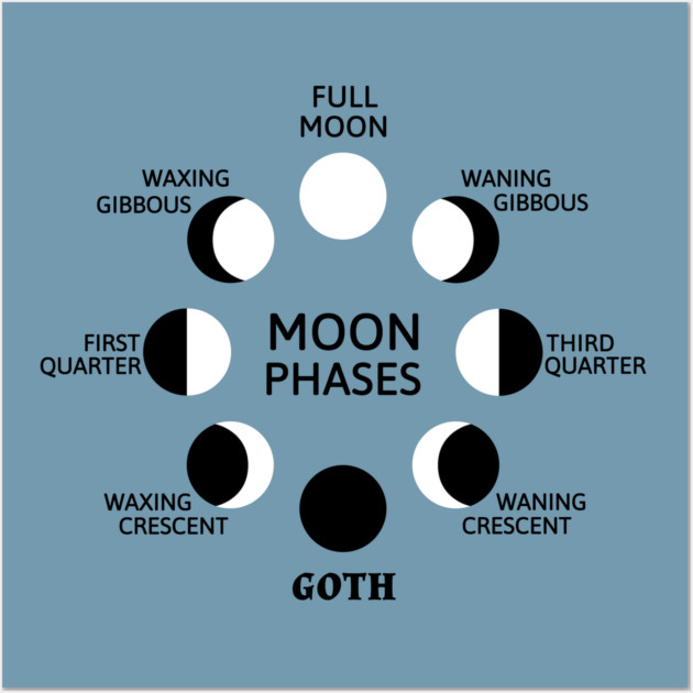 Moon Phases Print