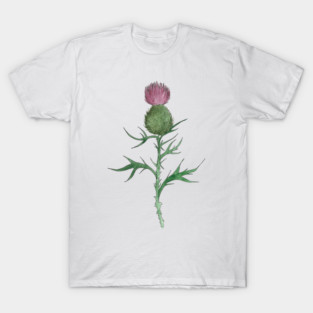Thistle Watercolor Illustration T-Shirt