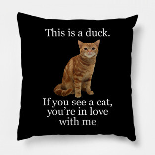 This is a duck Pillow