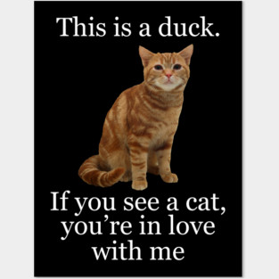 This is a duck Posters and Art