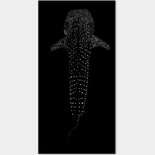 Whale Shark Posters and Art