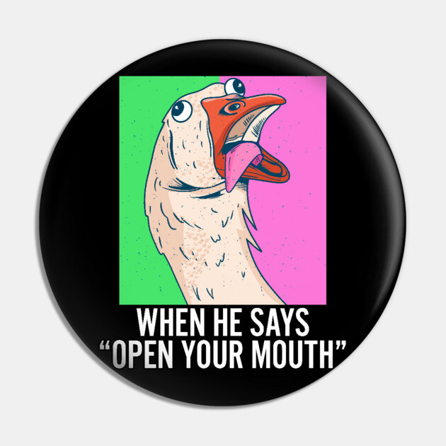 When He Says Open Your Mouth Sexual Humor Pin by belownormal