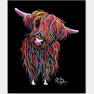 Scottish Highland Hairy Cow ' BoLLY ' Posters and Art