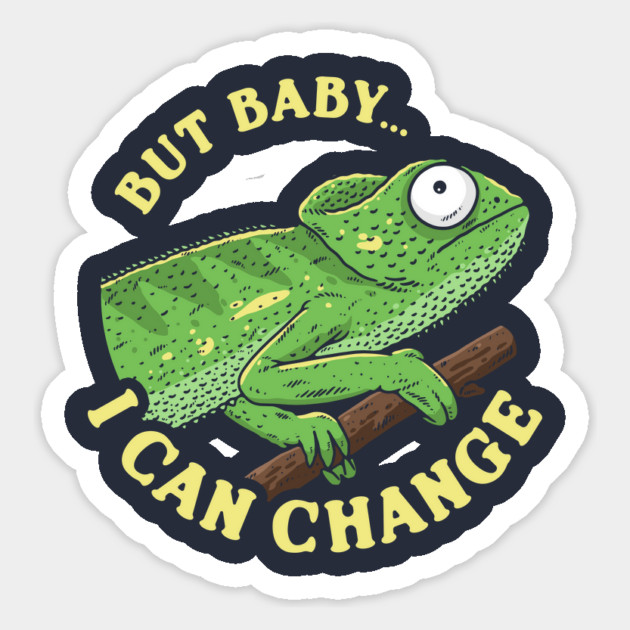 But Baby I Can Change Magnet by dumbshirts