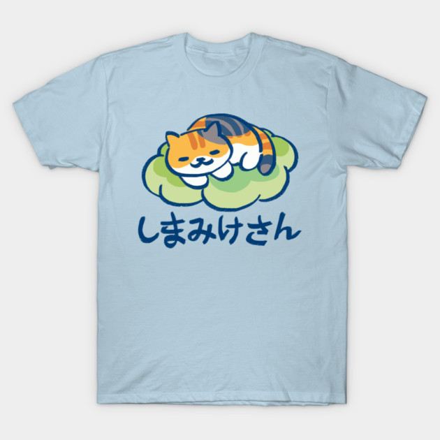 cute kitty collector cat tabitha sleeping on a lucky cushion