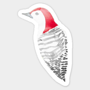 Red-Bellied Woodpecker Sticker